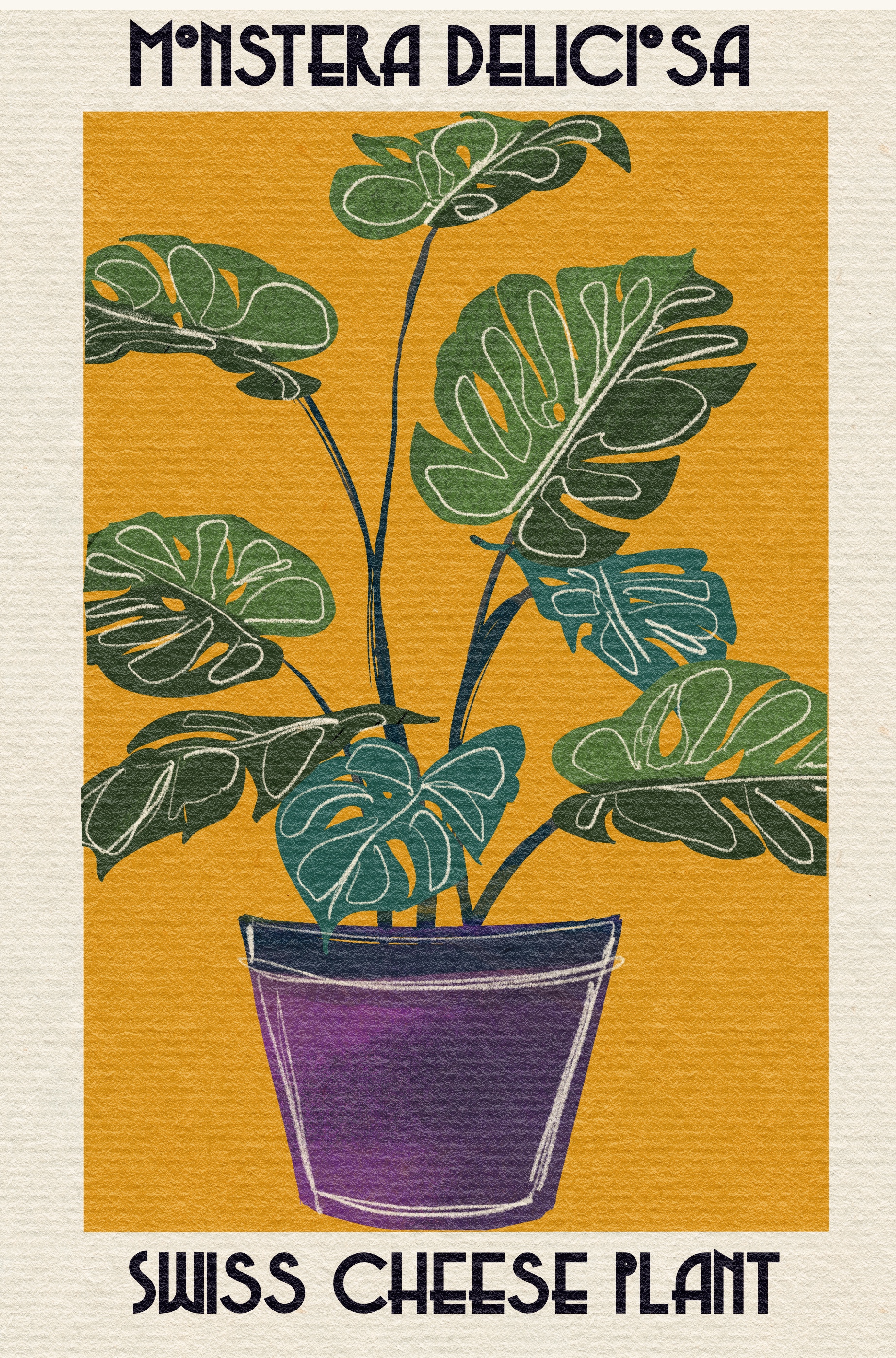 Monstera Deliciosa